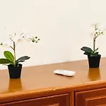 Blue Apartamento Albufeira