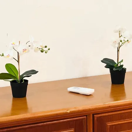 Blue 아파트 알부페이라