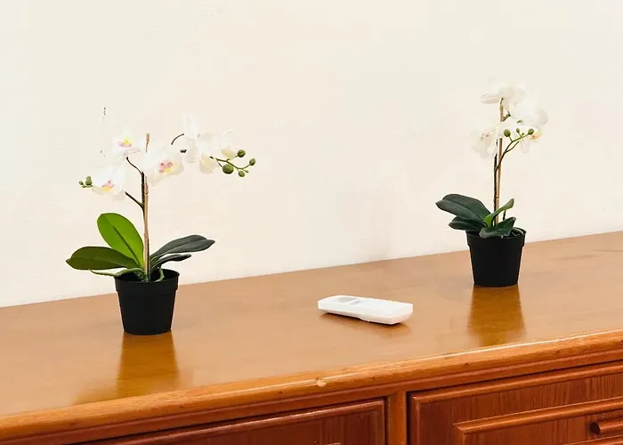 Blue شقة البوفيرا